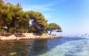 Beach on St. Marguerite, an island off the coast of Cannes.